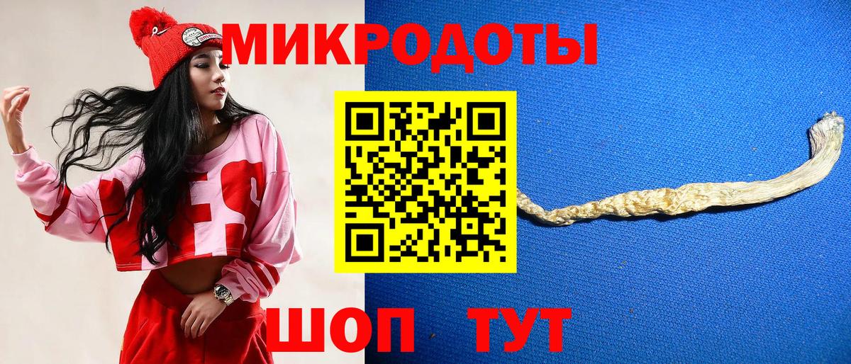 Псилоцибиновые грибы GOLDEN TEACHER  Галлюциногенные грибы Psilocybine cubensis  купить наркоту  Вход с VPN  Кудрово 