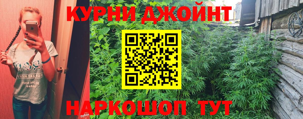 Бошки марихуана гибрид  Вход с VPN  Бошки Шишки планчик  Кудрово  Конопля тримм 
